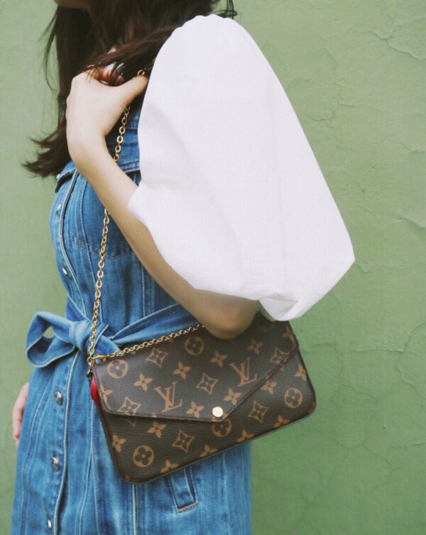 LV Luxury Element  Chic Brown Mini Crossbody Bag with Gold Hardware & Removable Organizers LV007